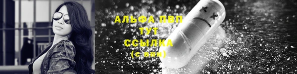 амф Алексин