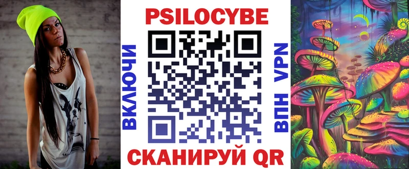 дарнет шоп Наволоки Псилоцибиновые грибы мицелий